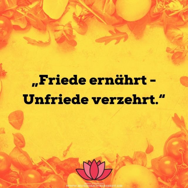 Frieden Sprüche 37 Kurze Zitate für Weltfrieden! Buddhaweisheit.de