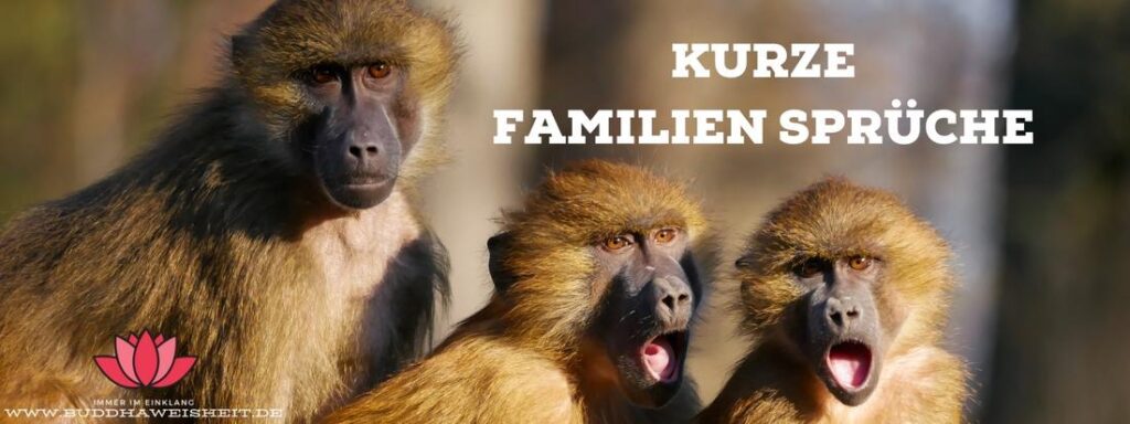 66 schöne Sprüche über die Familie und Familienzusammenhalt