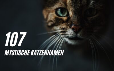 107 Mystische Katzennamen für weibliche und männliche Katzen!