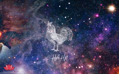 Sternzeichen Hahn: Liebe, Geld und Glück! (Chinesisches Horoskop 2023)