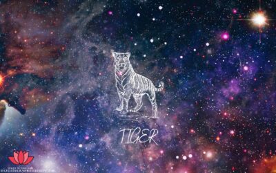 Sternzeichen Tiger: Liebe, Geld und Glück! (Chinesisches Horoskop 2023)