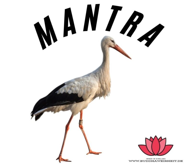 krafttier-storch-die-geheimnisvolle-bedeutung-des-seelentiers-storch