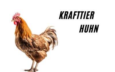 Krafttier Huhn – Geheimnisvolle Nachricht der Fruchtbarkeit!