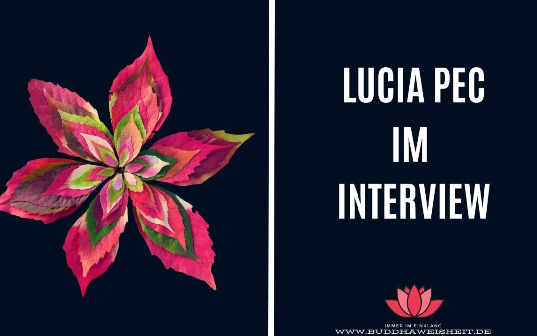 Kreativ sein in der Natur mit Lucia Pec (@my.creative.nature) Interview